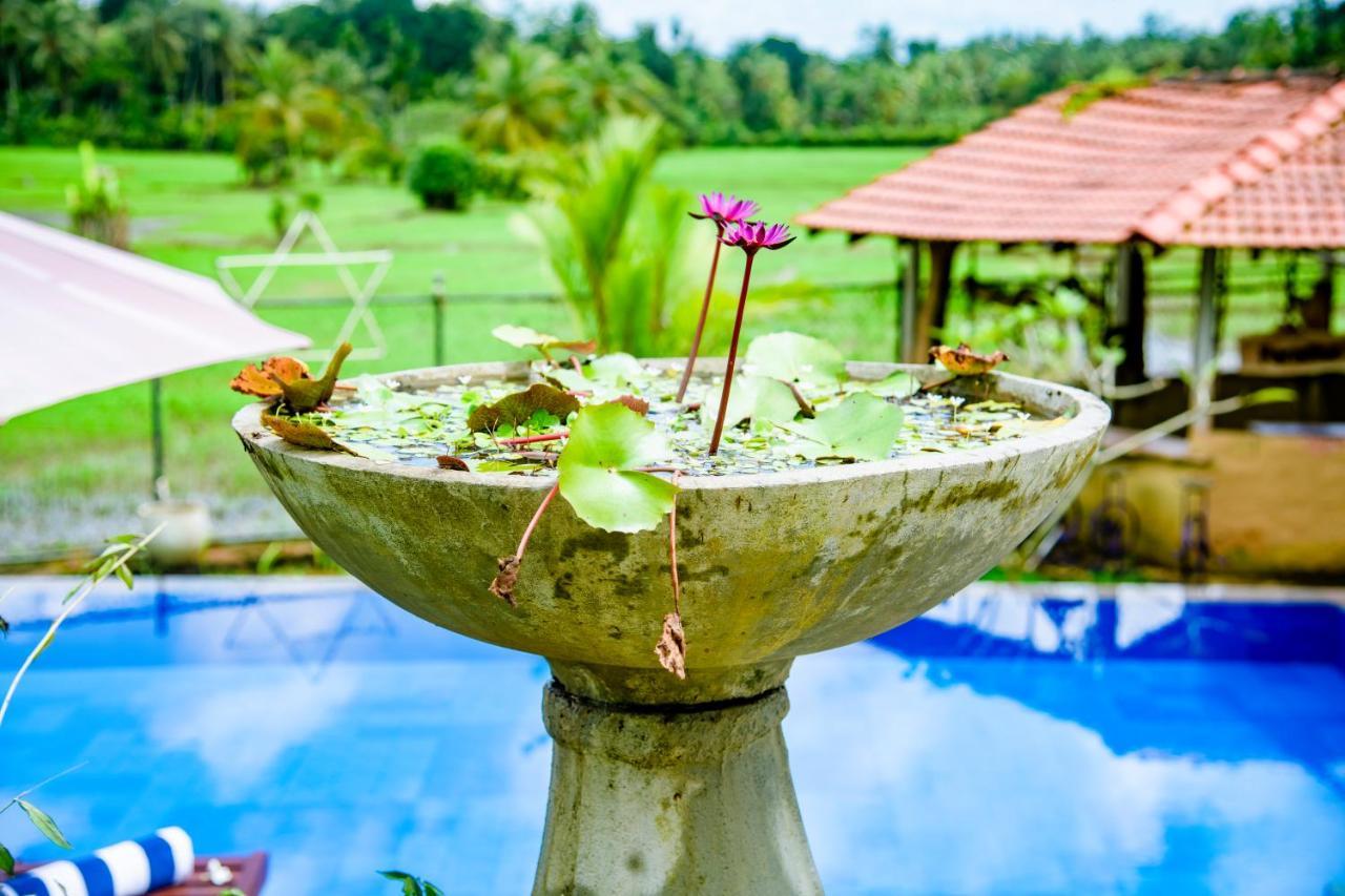 Peaceful Villa With Pool Near Hikkaduwa Амбалангода Экстерьер фото