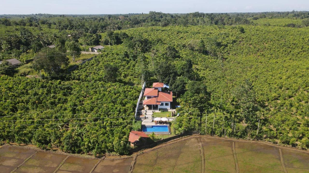 Peaceful Villa With Pool Near Hikkaduwa Амбалангода Экстерьер фото